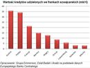 Nie tylko Polacy mają kłopot z drogim frankiem